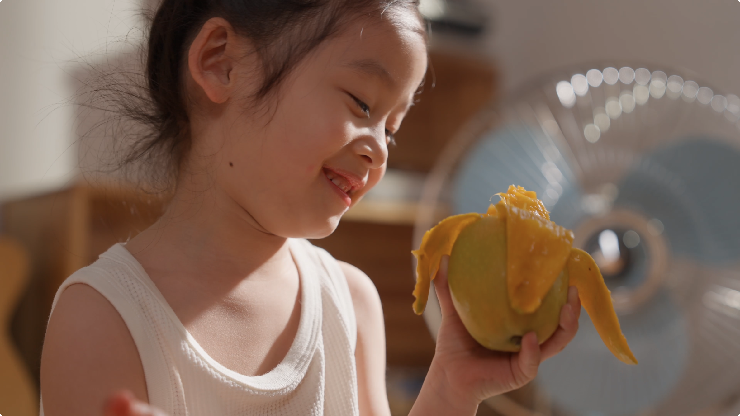 2024辰颐年终总结