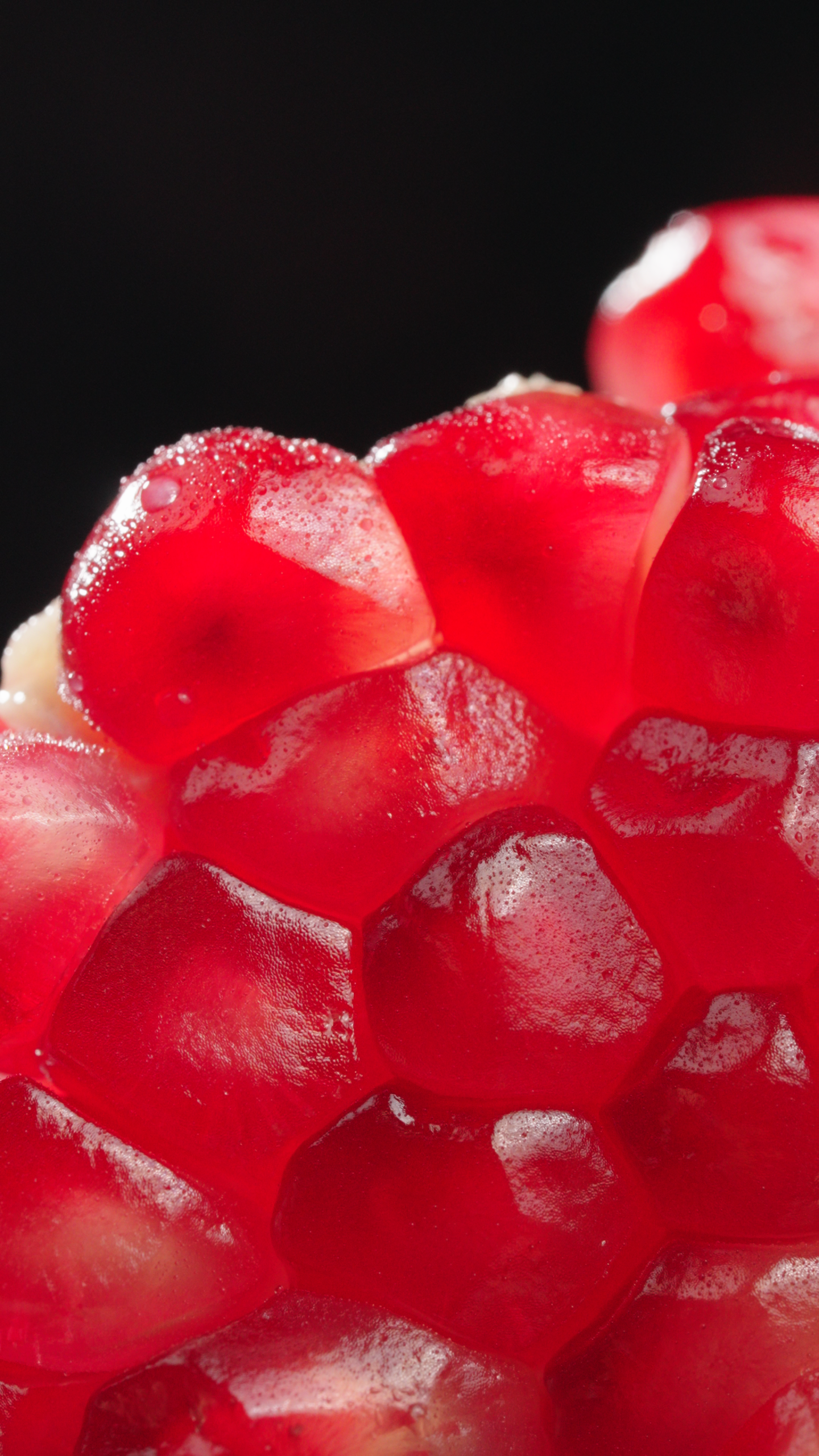 突尼斯软籽石榴